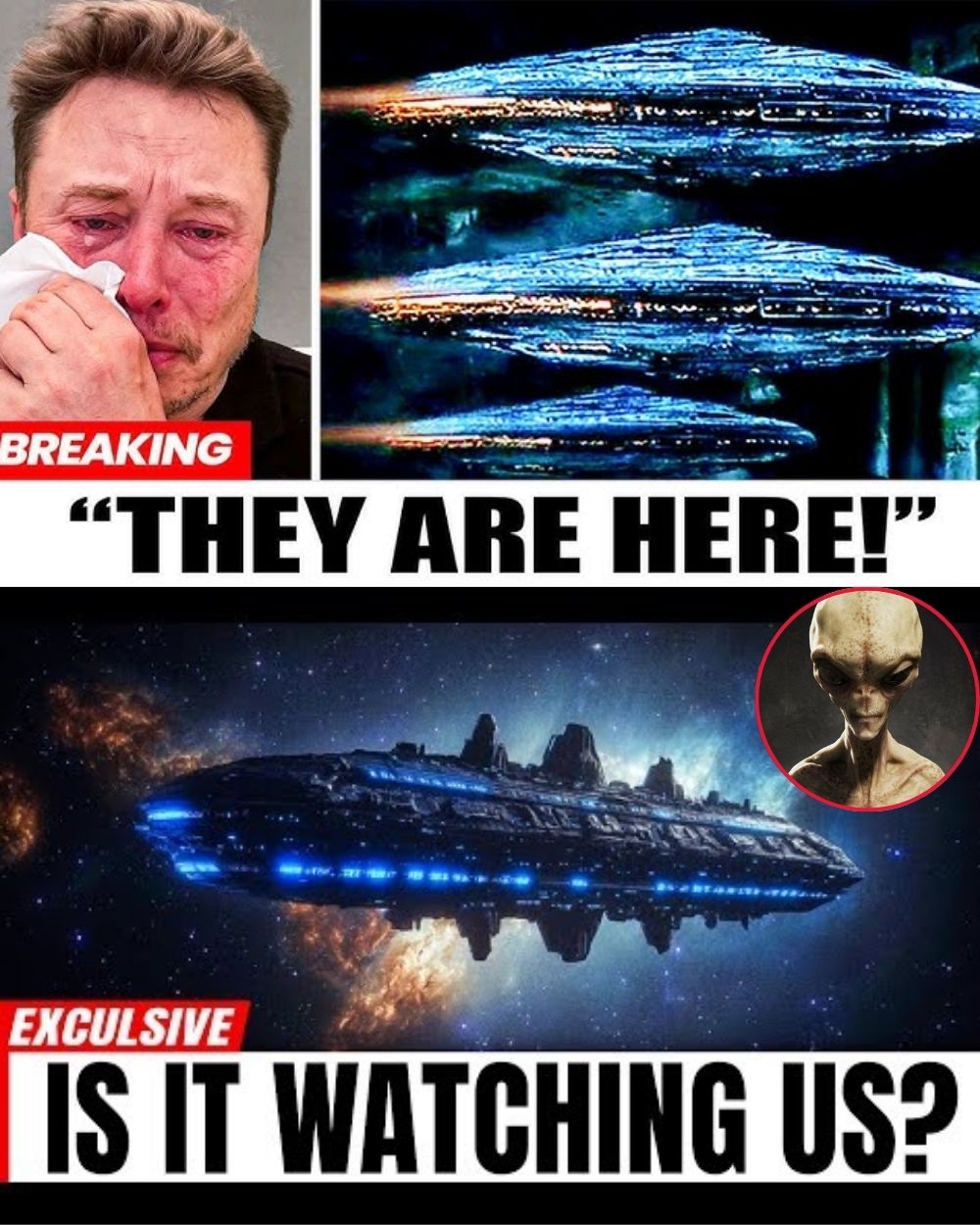 THE FINAL PROPHECY!! Elon Musk Declares To The World: “ALIEN Warships Are Coming Here With An Invasion Plot — We Are In Danger And No One Will Survive After 2027” .q