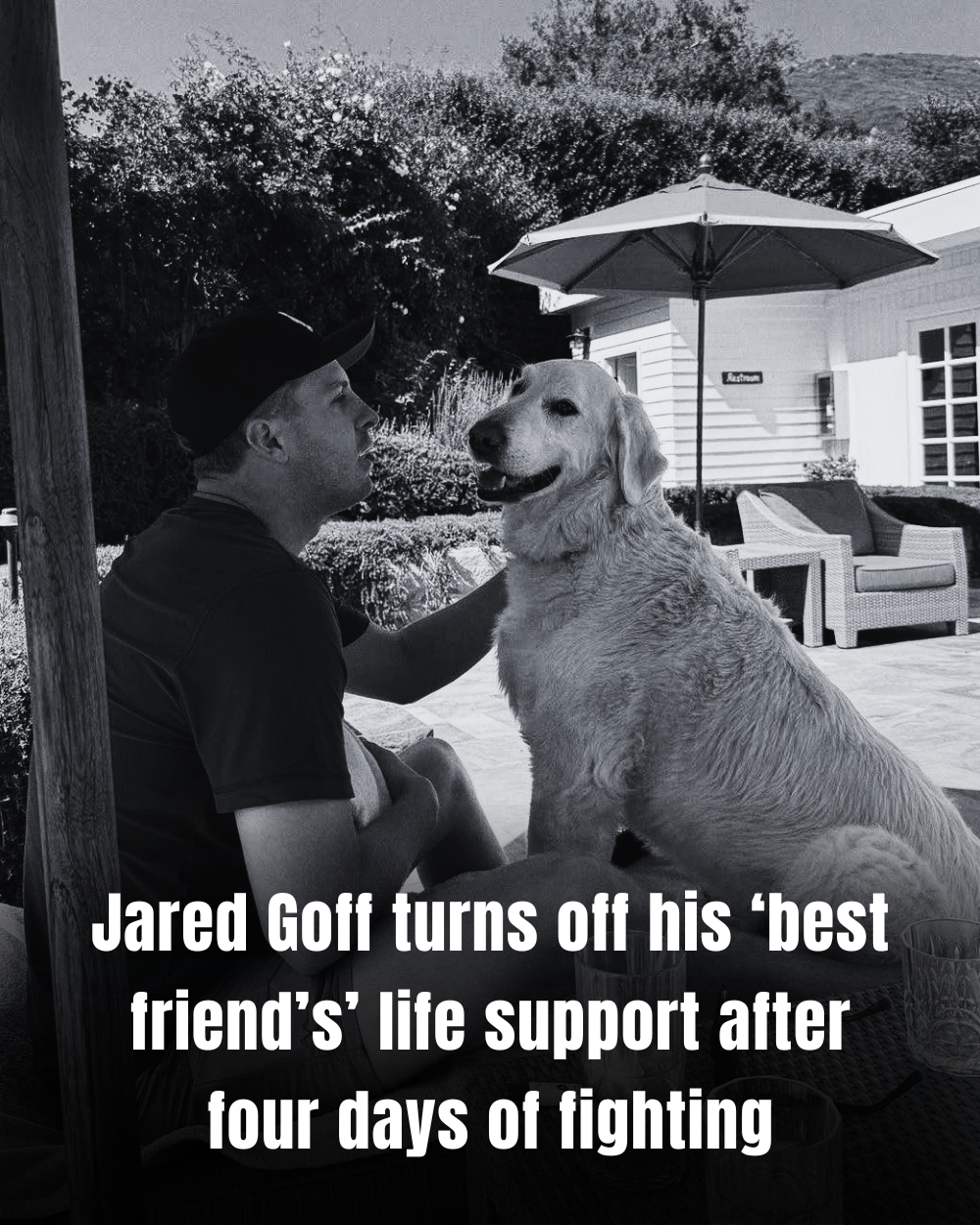 SAD NEWS: Jared Goff reveals heartbreak as beloved Golden Retriever Quincy, 12, is put down after four days on life support — “My best friend, my family, my everything…” _P