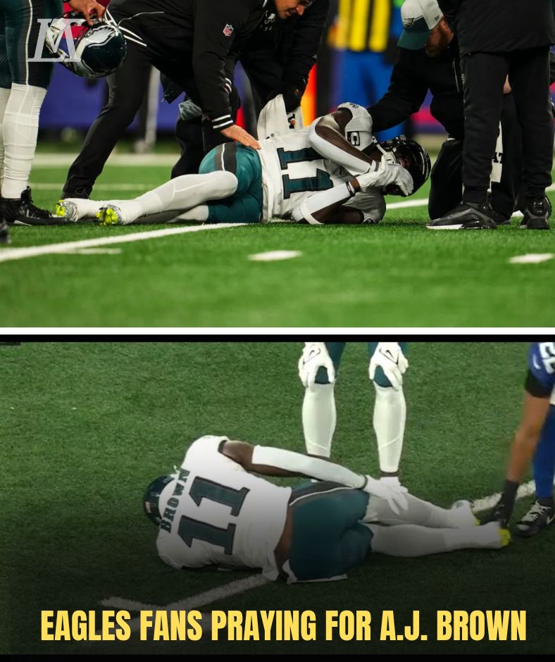 SHOCKING SCENE: Eagles’ A.J. Brown Suffers Gruesome Leg Injury, Carted Off in Air Cast During Game Against Los Angeles Rams .Ni