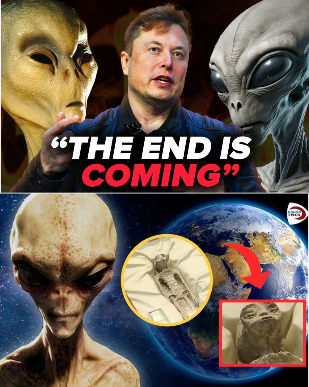 THE END IS NEAR: Elon Musk warns “THE END IS COMING” as cremated remains ALIEN beings are discovered on Earth – Their terrifying appearance leaves the whole world STUNNED! .q