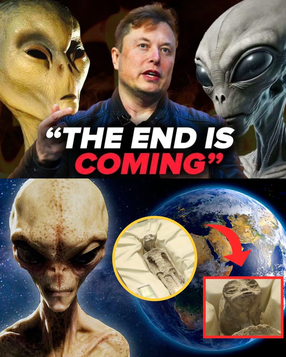 SHOCKING DISCOVERY: Cremated Alien Beings Found on Earth — Their Appearance Shocks the World! Elon Musk Warns “THE END IS COMING” _P